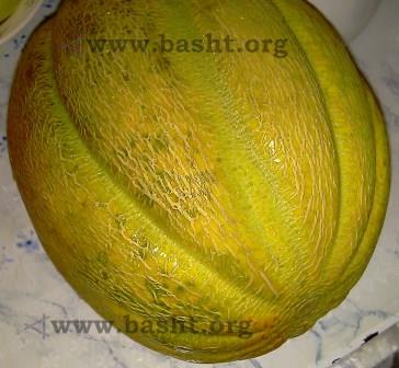 strange melon 006