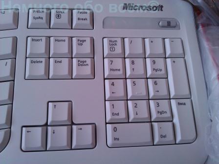 microsoft curve keyboard 2000 007