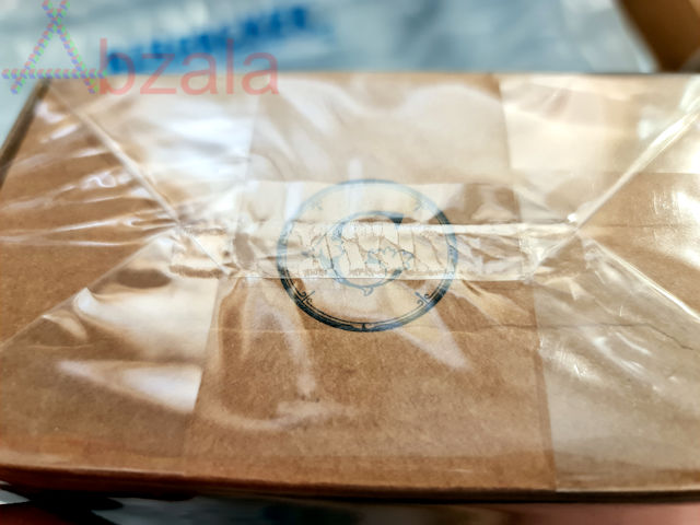 gerini coumarin 002 thumbs