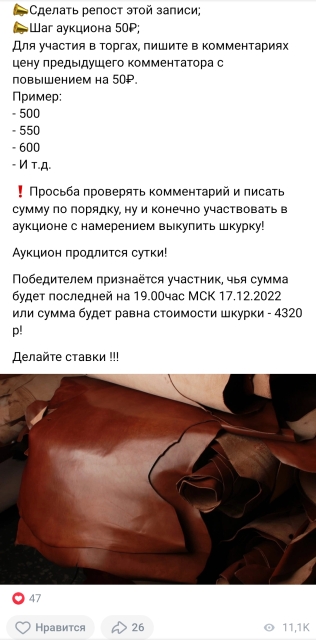 fraudsters in vkontakte at auctions 001 2 thumbs