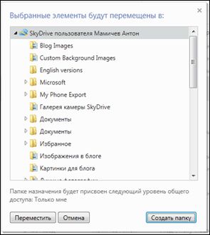 new features skydrive 005