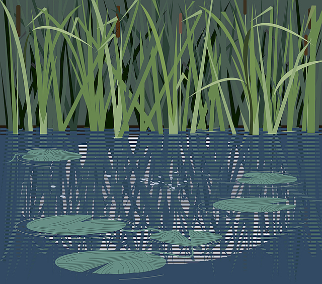 quiet river with reeds and water lilies thumbs