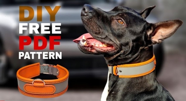 dog-collar-by-caspia-leather-thumbs