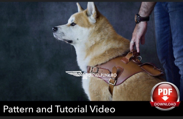 dog-harness-with-pocket-dieselpunkro-001-thumbs
