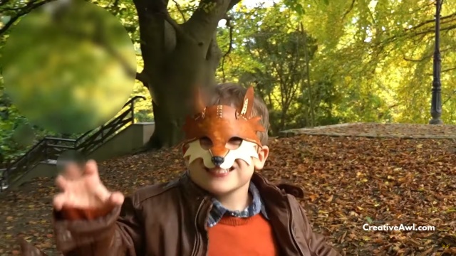 fox mask 002 thumbs