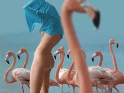animals-260923