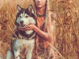animals-260923
