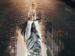 animals-260923