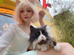 animals-260923