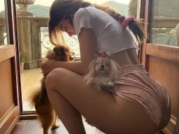 animals-260923