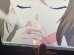 anime-260923