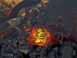 art-260923