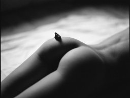 body-260928-body-260928-001