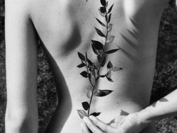 body-260928-body-260928-002