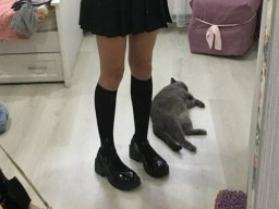 body-260928-body-260928-009