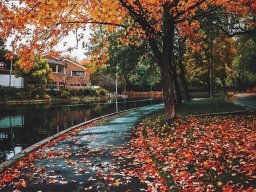 landscape-260923