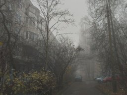 landscape-260923
