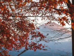 landscape-260923