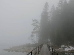 landscape-260923