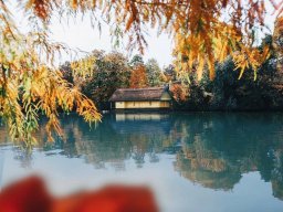 landscape-260923