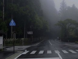 landscape-260923