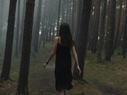 landscape-260923