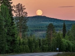 landscape-260923