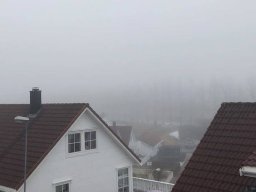 landscape-260923