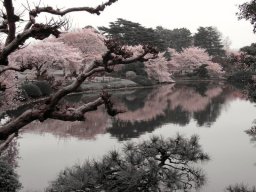 landscape-260923