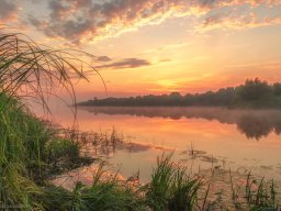 landscape-260923