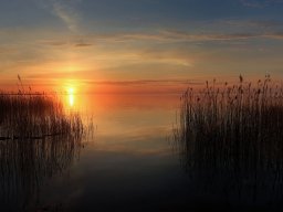 landscape-260923