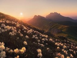 landscape-260923