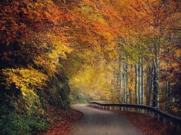 landscape-260923