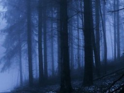 landscape-260923