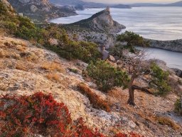 landscape-260923