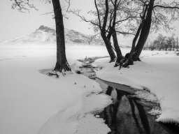 landscape-260923