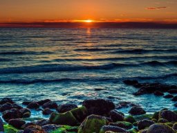 landscape-260923