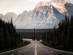 landscape-260923