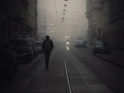 landscape-260923