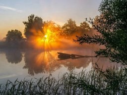 landscape-260923