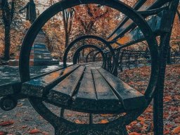 landscape-260923