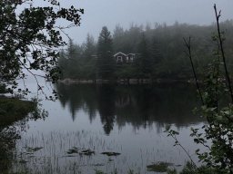 landscape-260923