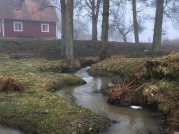 landscape-260923