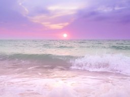 landscape-260923