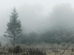 landscape-260923