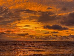 landscape-260923