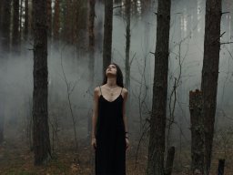landscape-260923