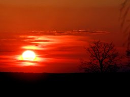 landscape-260923