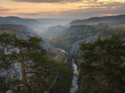landscape-260923