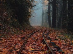 landscape-260923